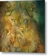 Moods Of Africa - Lions Metal Print