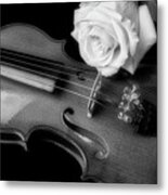 Moody Violin And Rose In Black And White Metal Print