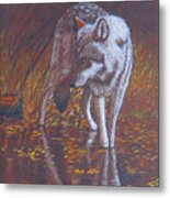 Moonlight Drink Metal Print