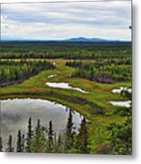 Moose Pond 2 Metal Print