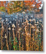 Moraine Hills Fall Colors Metal Print