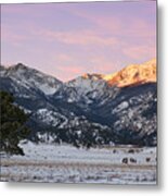 Moraine Park - Rocky Mountain National Park Metal Print