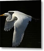 Morning Beauty Metal Print