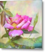 Morning Delight Metal Print