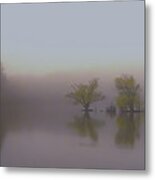 Morning Fog Metal Print