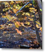 Morning Leaves Falls Park Pendleton Metal Print