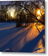 Morning Light Metal Print