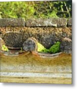 Moss On An Old Chinese Roof Metal Print