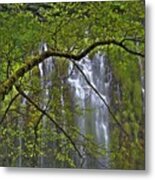 Mossbrae Falls Metal Print