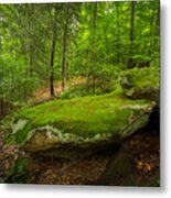 Mossy Rocks In Little Creek Park Metal Print