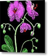 Moth Orchid Flower Watercolour Metal Print