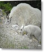 Mother And Baby Metal Print