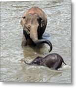 Mother And Baby Metal Print