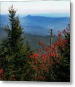 Mount Mitchell View Metal Print