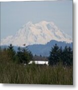 Mount Rainier Again Metal Print