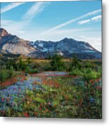 Mount St Helens Glorious Field Of Spring Wildflowers Metal Print