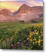 Mount Timpanogos Wildflower Sunset - Utah Metal Print
