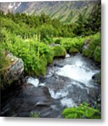 Mountain Creek In Early Summer Metal Print