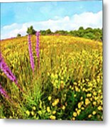 Mountain Of Summer Flowers In The Blue Ridge Ap Metal Print