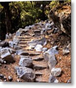 Mountain Trail Metal Print