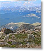 Mountains And Goats Metal Print