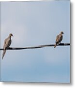 Mourning Doves Metal Print