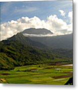 Mt. Waialeale Metal Print