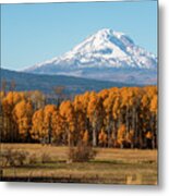 Mt.adams-snow Covered Metal Print