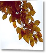 Mulberry Autumn Metal Print