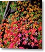 Multicolored Autumn Leaves Metal Print