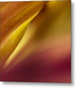 Mum Abstract Metal Print