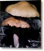 Mushroom Love Metal Print