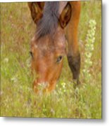 Mustang In The Grass Metal Print