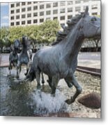 Mustangs Of Las Colinas Sculpture In Irving Texas Metal Print