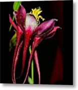 My Lovely Flower Metal Print