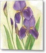 My Purple Irises Metal Print