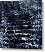 Mystery Forest Stairs Landscape Metal Print