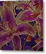 Mystic Lilies 8 Metal Print