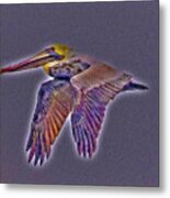 Mystical Brown Pelican Soaring Spirit Metal Print