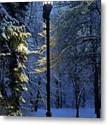 Narnia Metal Print