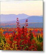 National Scenic Byway Metal Print