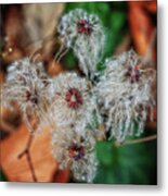 Natural Plant Designs Metal Print