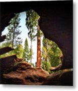 Natural Window Metal Print