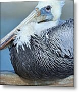 Nature-al Beauty Metal Print