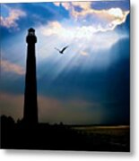 Nature Shines Brighter Metal Print