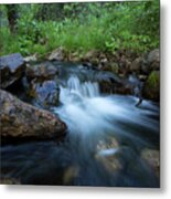 Nature's Harmony Metal Print