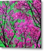 Natures Magic - Pink And Green Metal Print