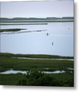 Nauset Marsh Metal Print