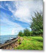 Near The Shore Metal Print