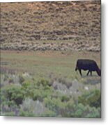 Nebraska Farm Life - The Farm Metal Print